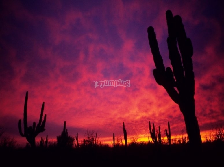 Quercus Baja - Deportes Terrestres